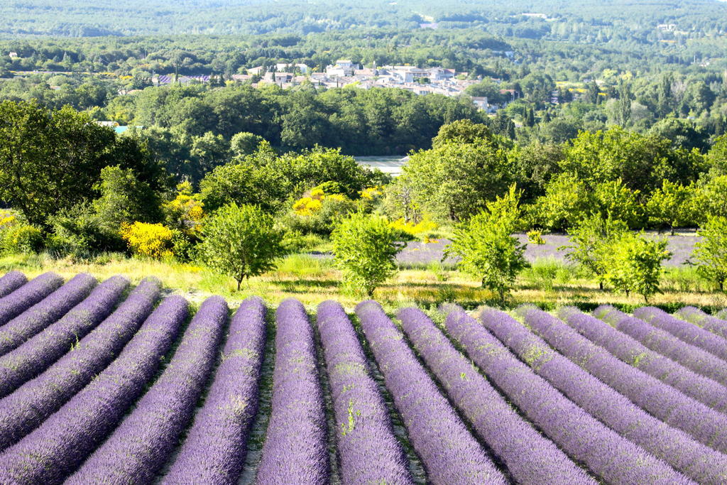 La Bugadière Salles-sous-Bois Esterno foto
