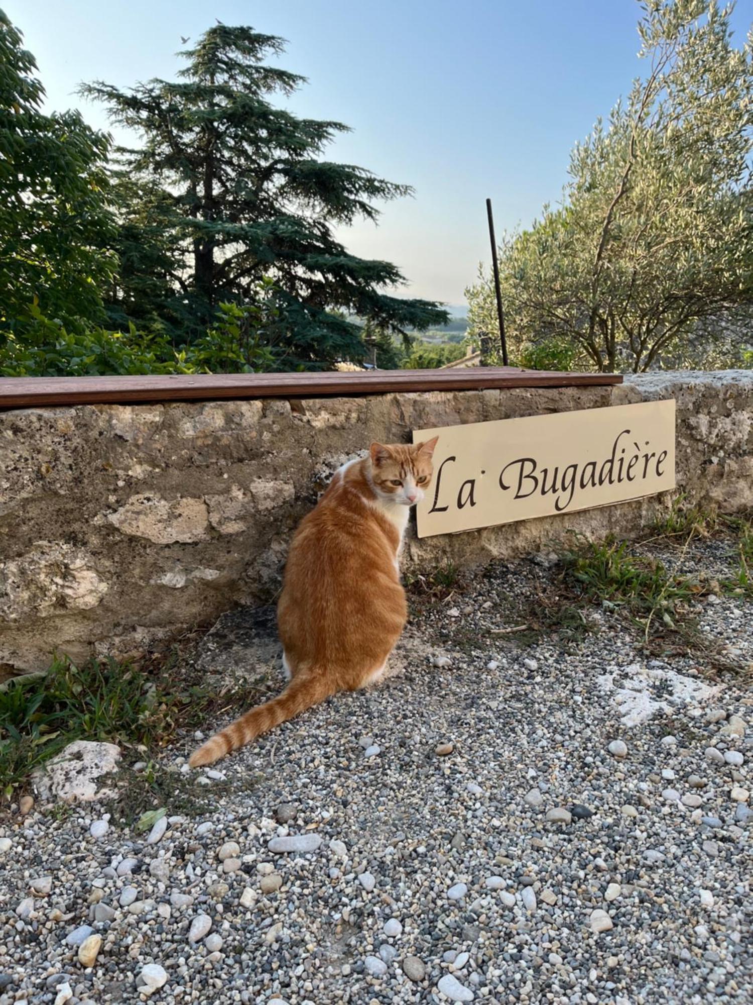 La Bugadière Salles-sous-Bois Esterno foto